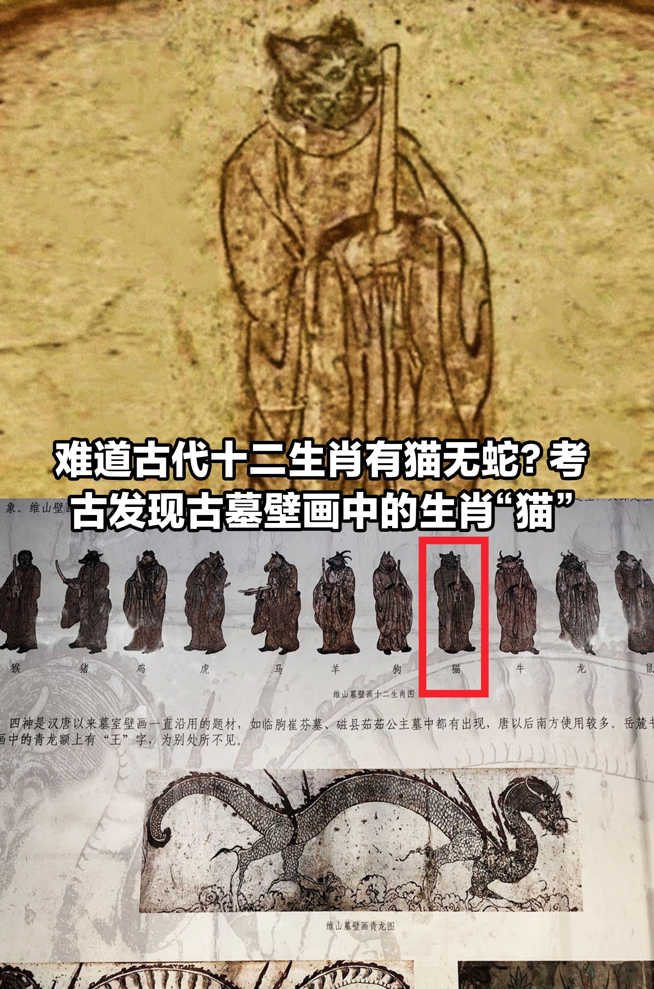 考古发现古墓壁画中的生肖“猫”
