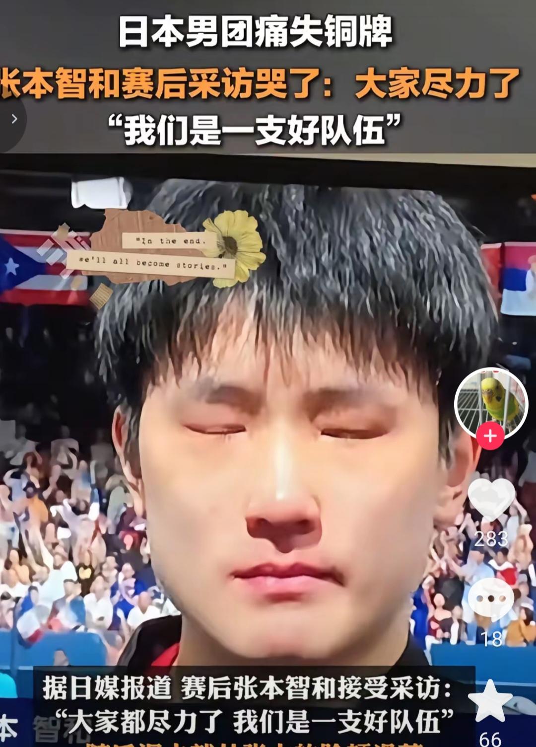 张本宇一半儿高兴，一半儿郁闷！高兴的是日本乒球队，在女儿和儿子的率领之下，就差