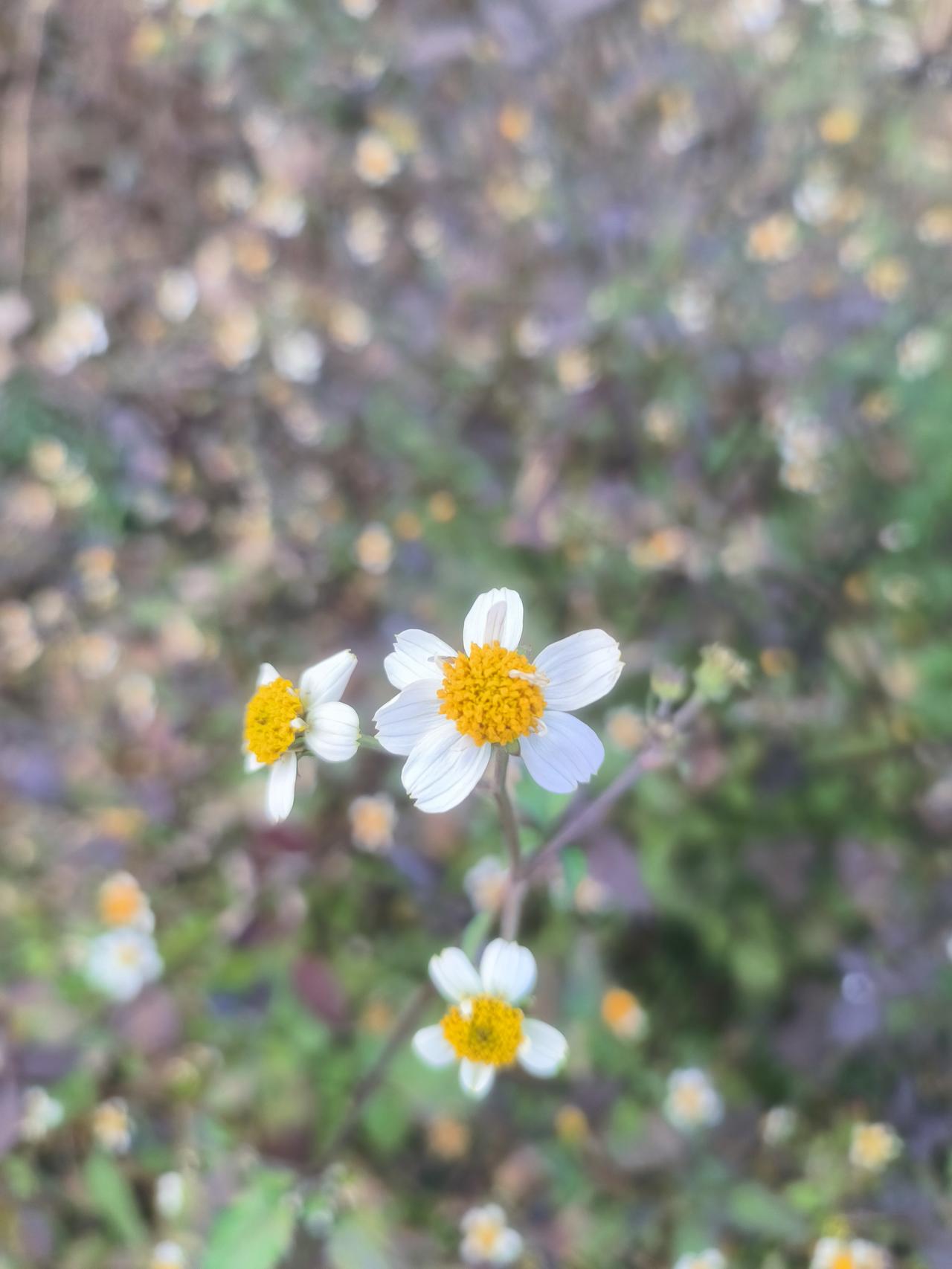 昨天与好友一起爬山。他的爱人也当老师，初中班主任。他爱人一个劲儿地讲他们班学生的