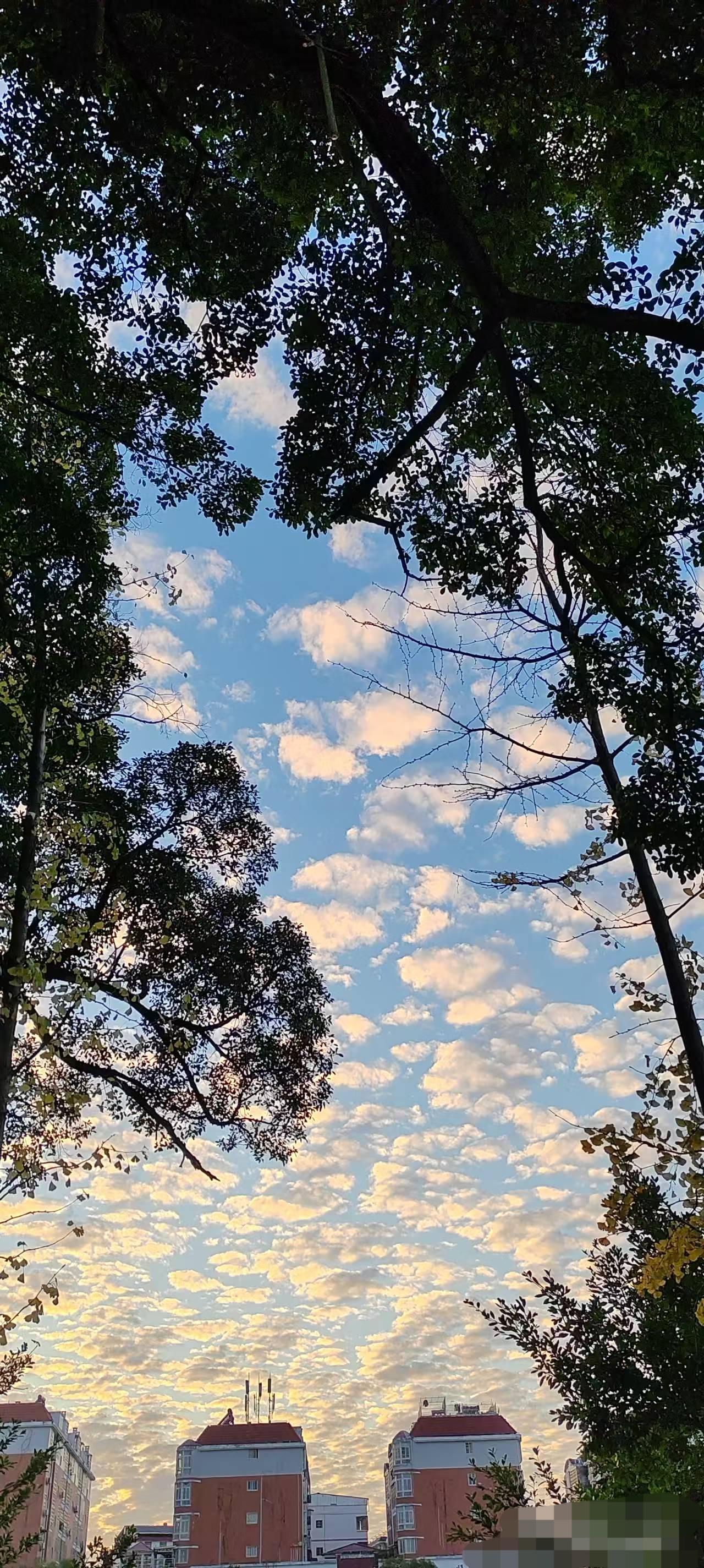 随手拍最美的风景