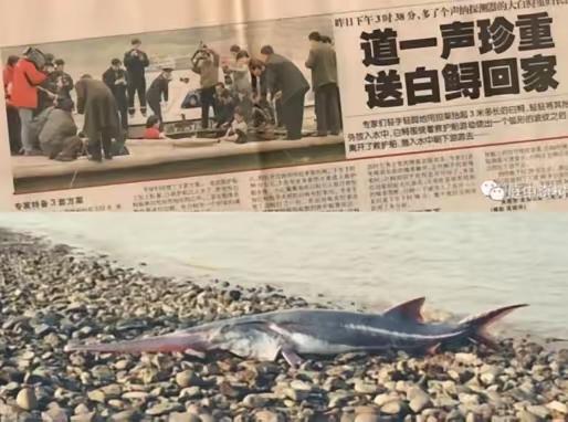 2003年1月24日上午，月24日上午，渔民刘云华和妻子正在长江上打渔，突然，他