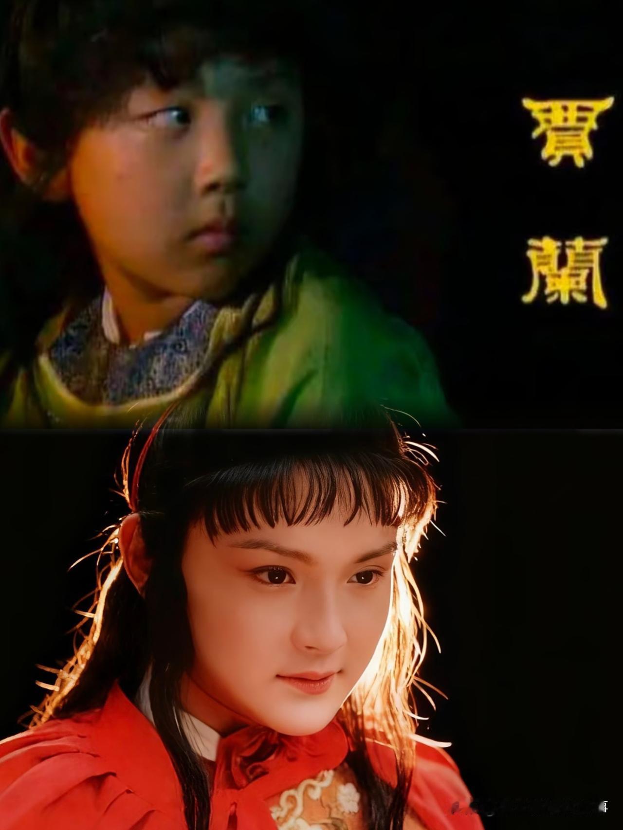 里贾兰宁愿跟贾环同进同出，却和宝玉彻底零交集，这背后的原因真的很现实！核心