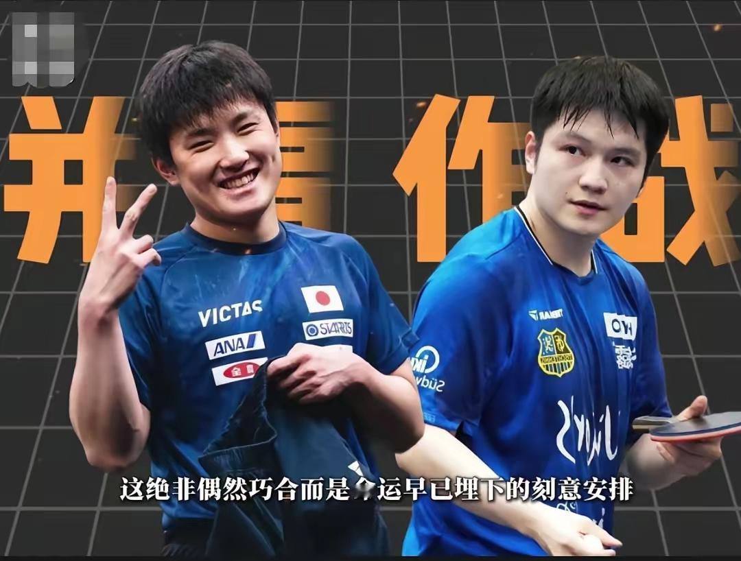 炸了！张本智和跑了！不是去比赛，是全家老小直接从日本搬到了德国。妹妹张本美和也