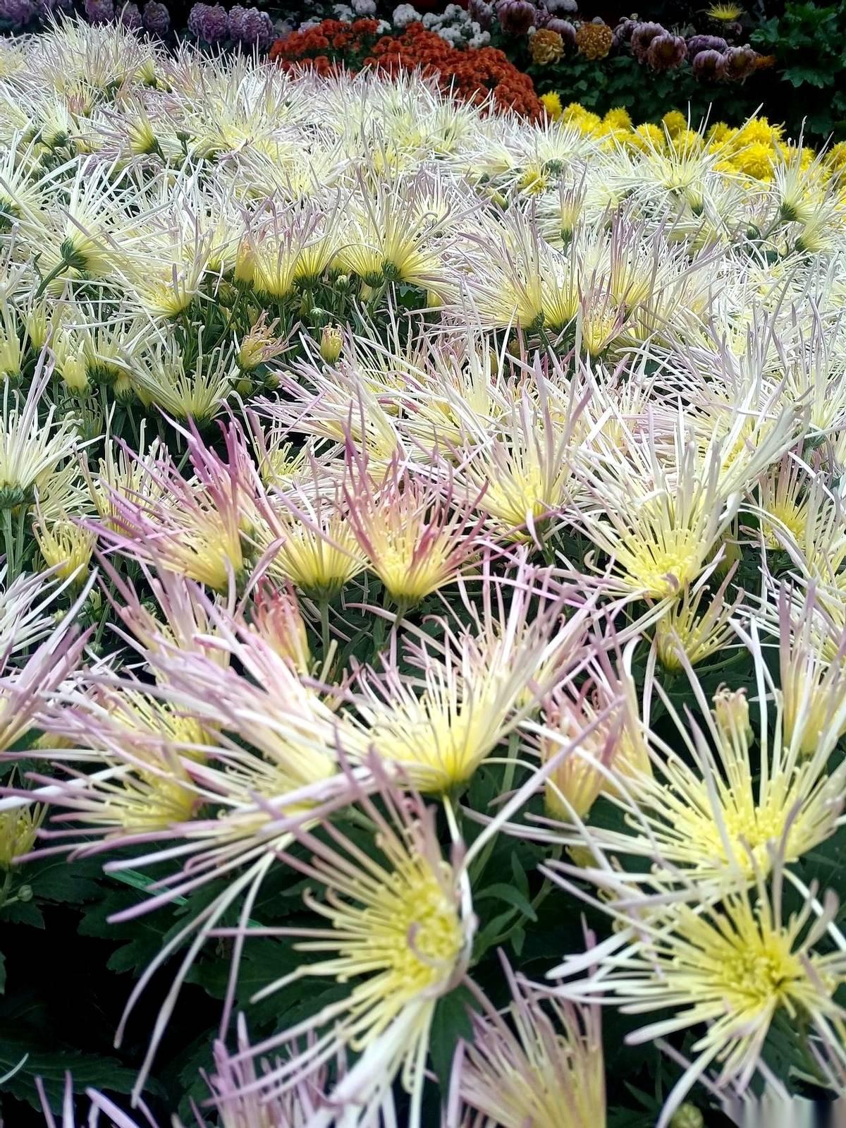 单位二把手，退休了。自己来搬东西，偌大个办公室，居然没几个人搭理。连个欢送会