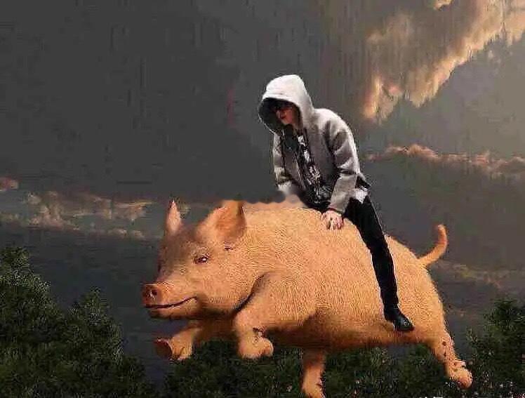 妖股——小盘+亏损+名字寓意炒名字：合富中国、人民同泰、华夏幸福、平潭发展、胜利