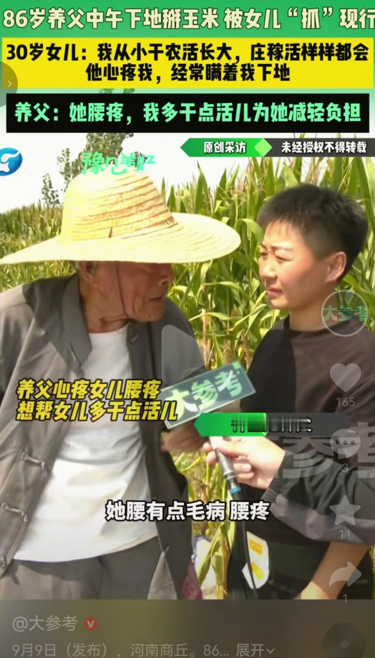 86岁养父偷偷下地掰玉米，被30岁女儿当场拦下，这一幕看哭太多人河南商丘玉