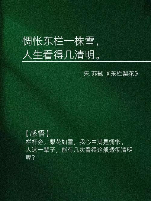 苏轼描写冬天的巅峰诗词