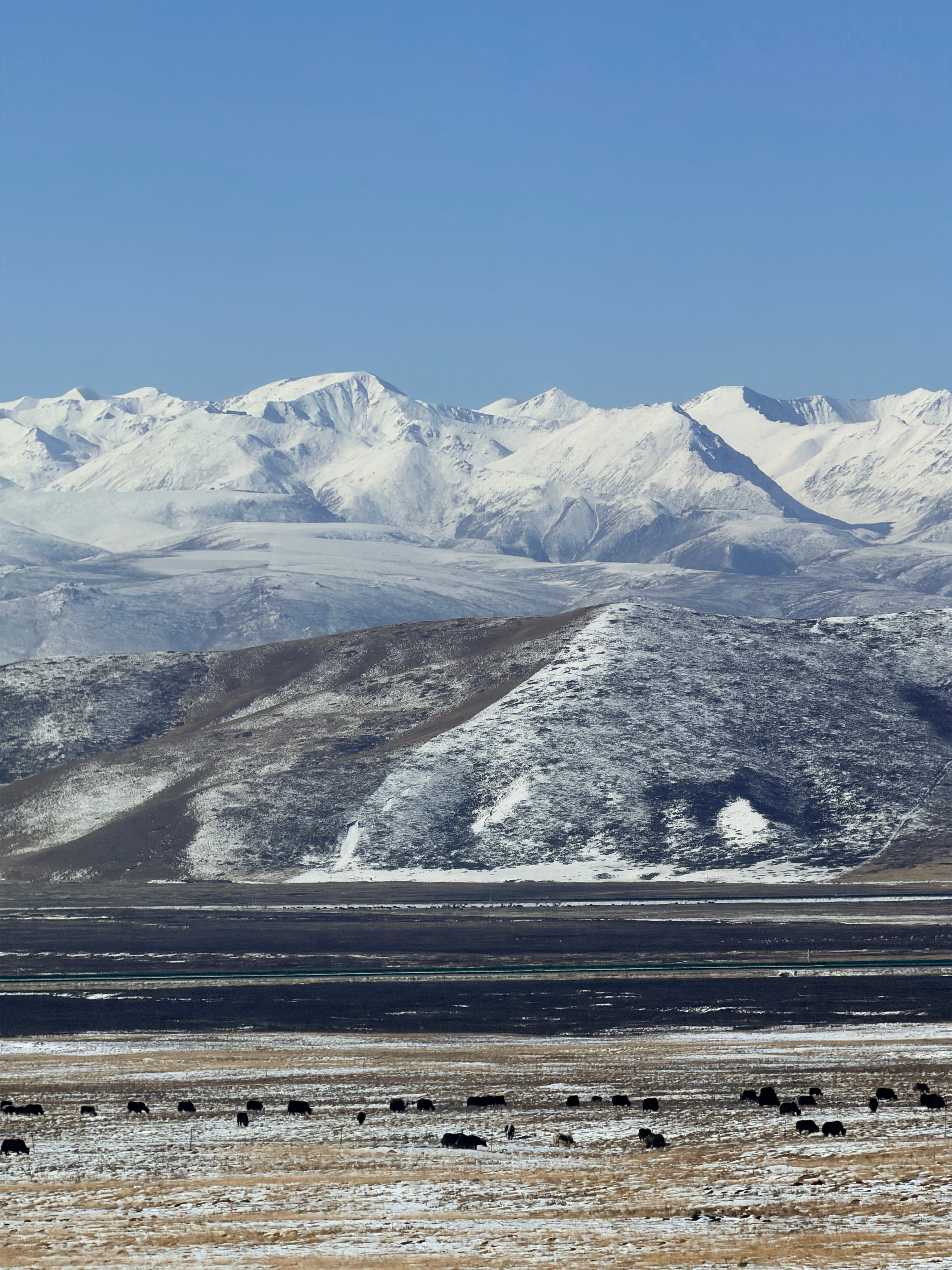 来看看祖国大好河山之雪山~🏔️千里江山图