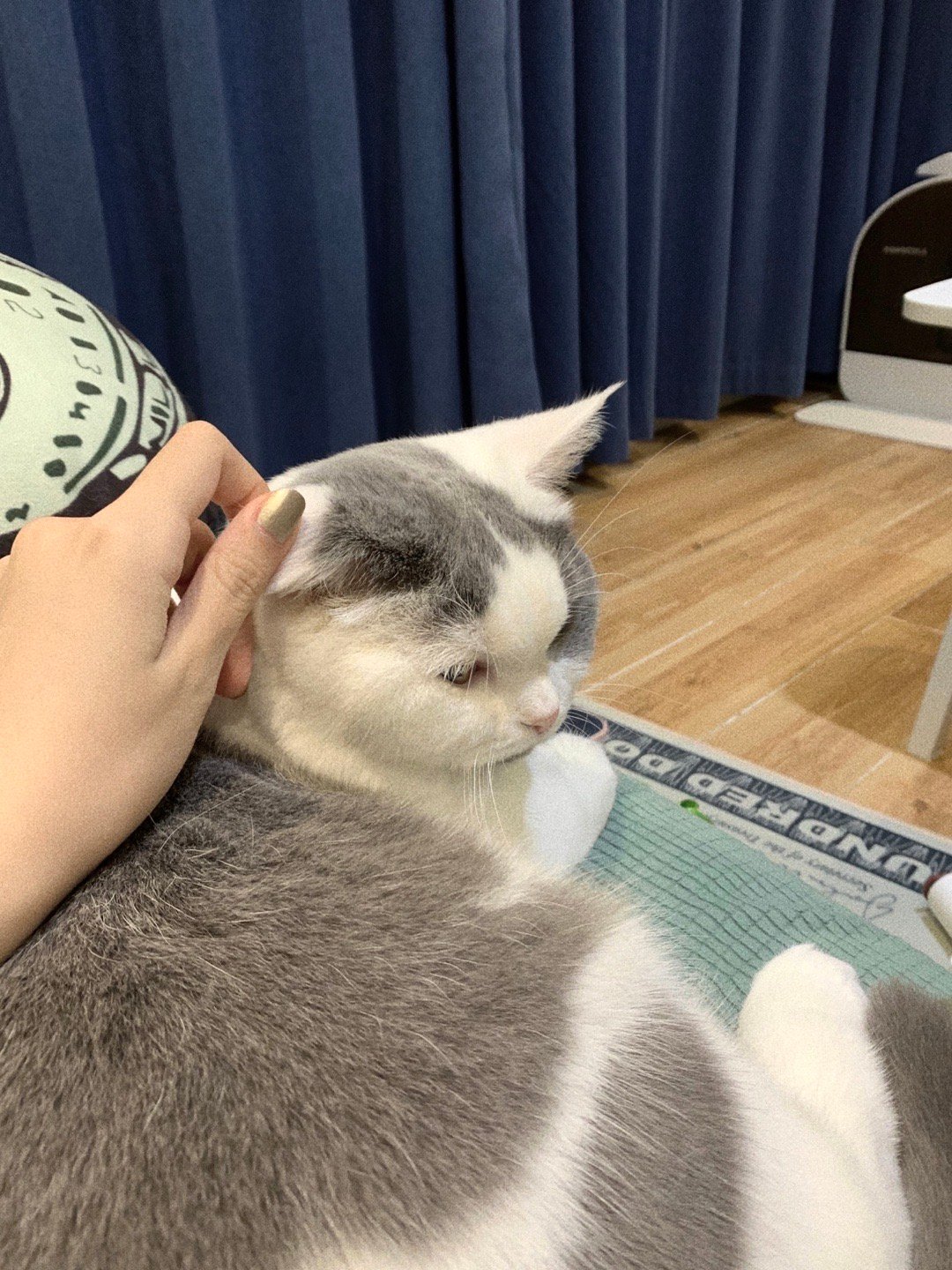 买一堆口袋零食跟hlt去吃饭路上两个人炫完了二分之一点五之后发胖的只有我一个