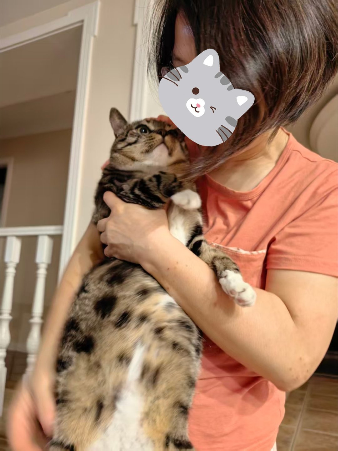 小豹就这样成为婆婆的玩物