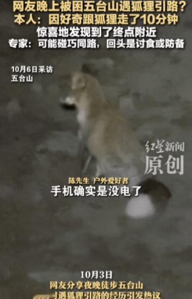 “解释不清了！”10月6日报道，男子晚上徒步五台山，结果在半山腰迷路！正好手机也