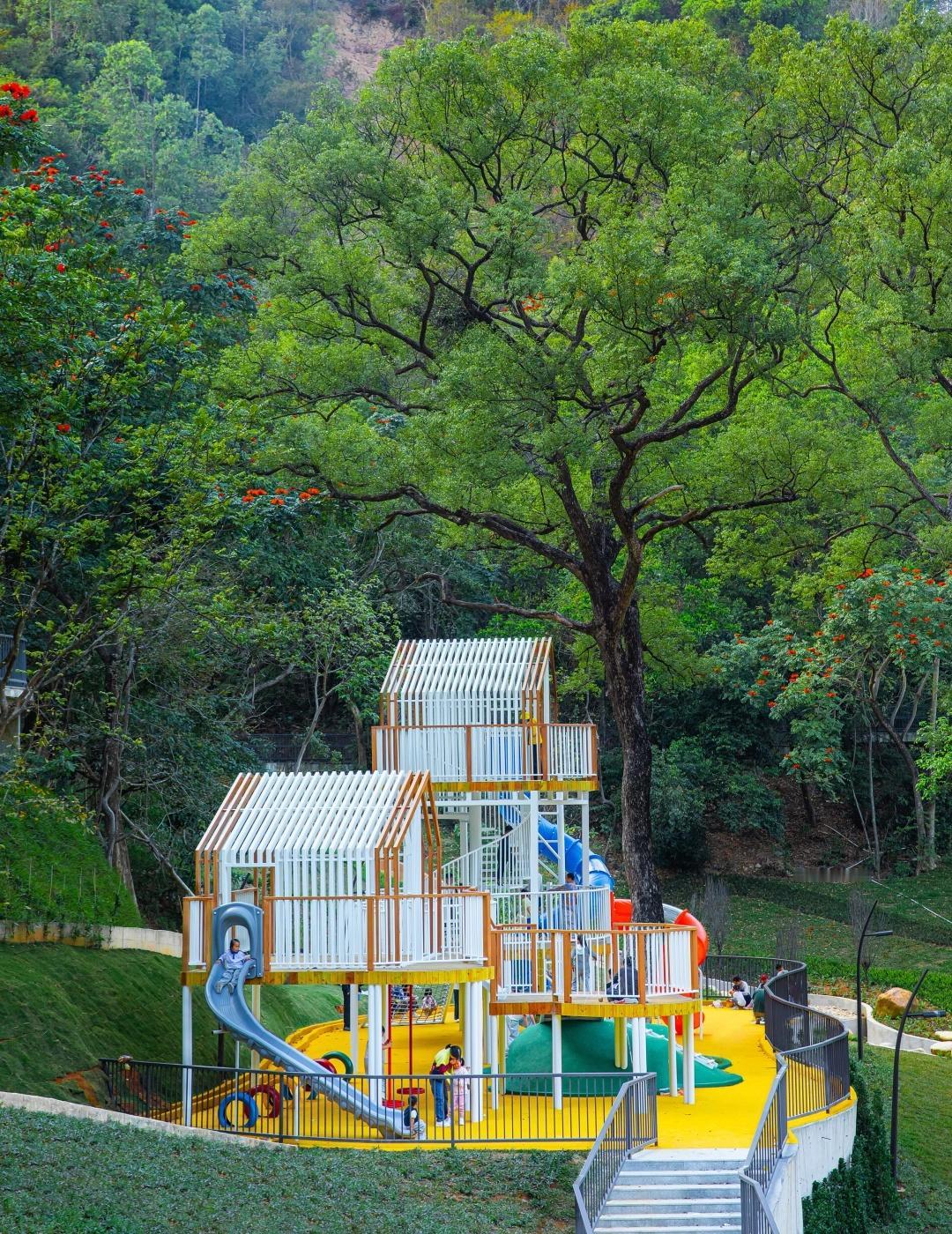 深圳！感觉能量低的时候去趟这里吧🍃在快节奏的深圳还藏着这样一条绿野仙踪的森