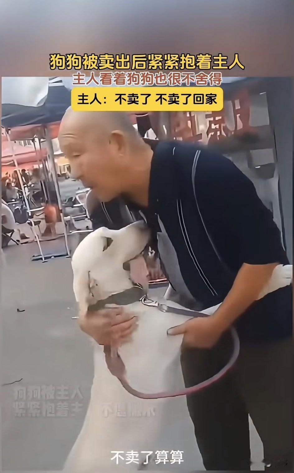 泪目了！这天一位老人因为要搬家所以无奈决定出售自己养了很多年的狗狗，他带着狗狗来