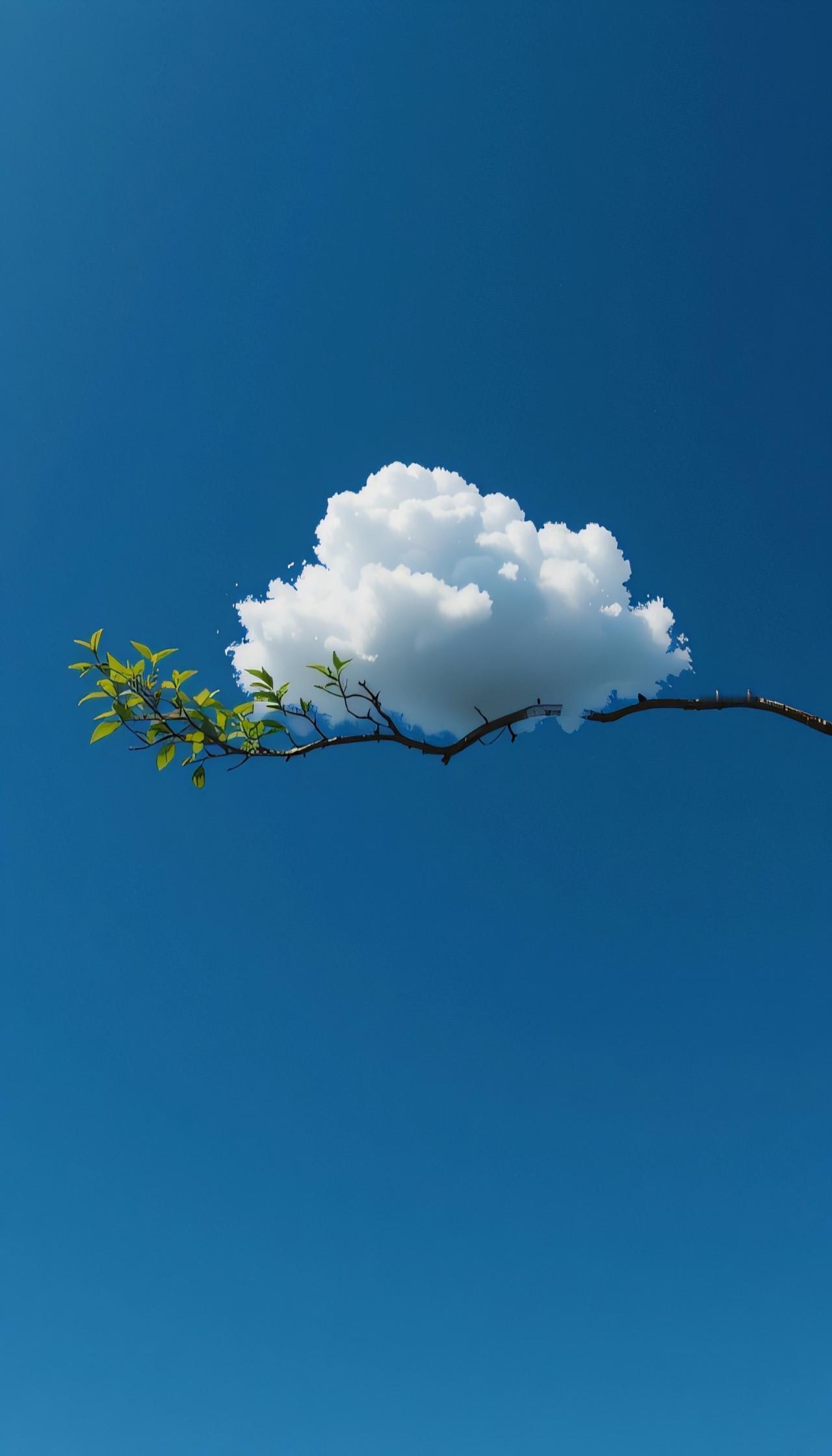 有哪些你认为好看的壁纸