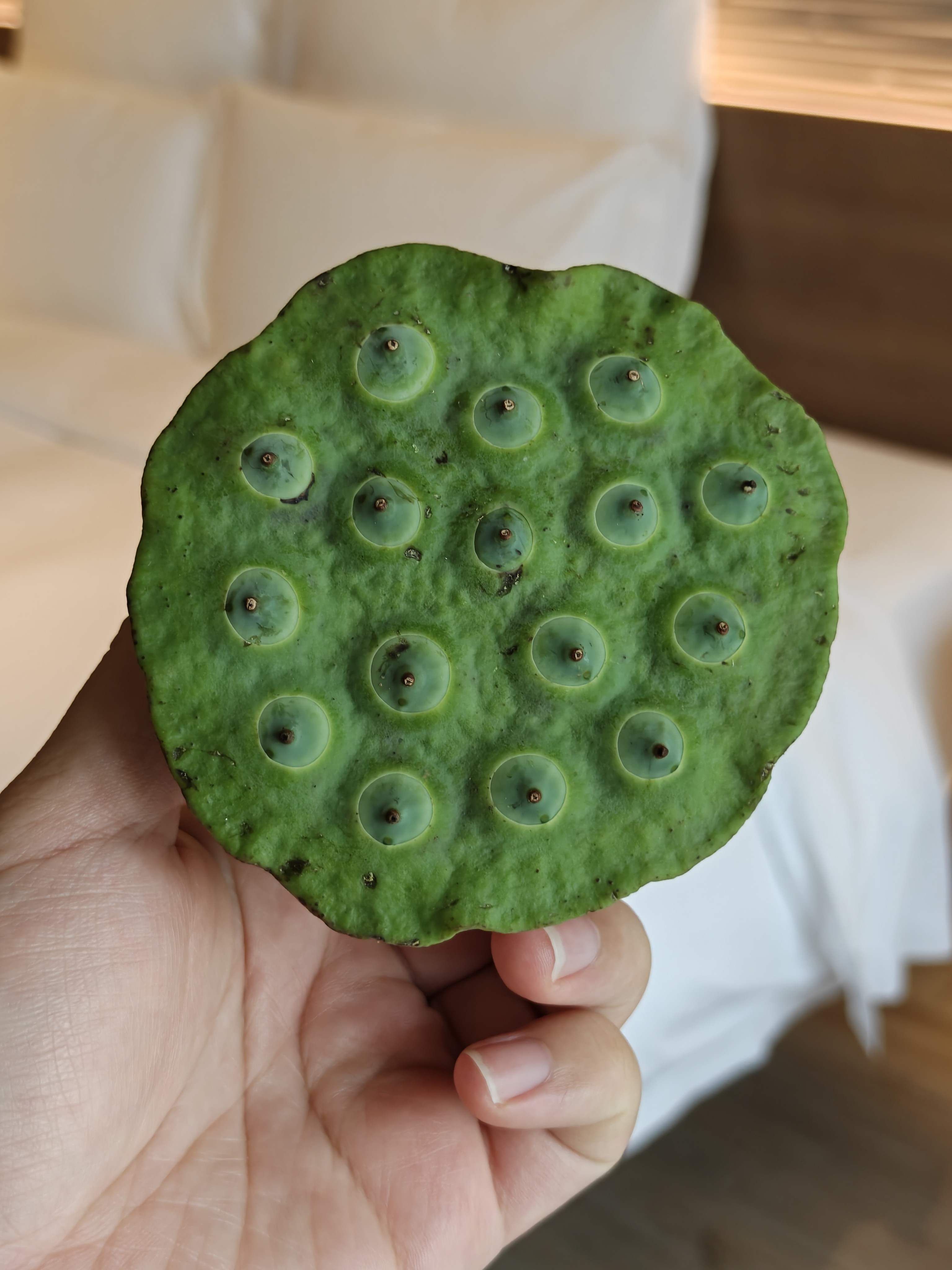 有喜欢吃莲子的朋友吗