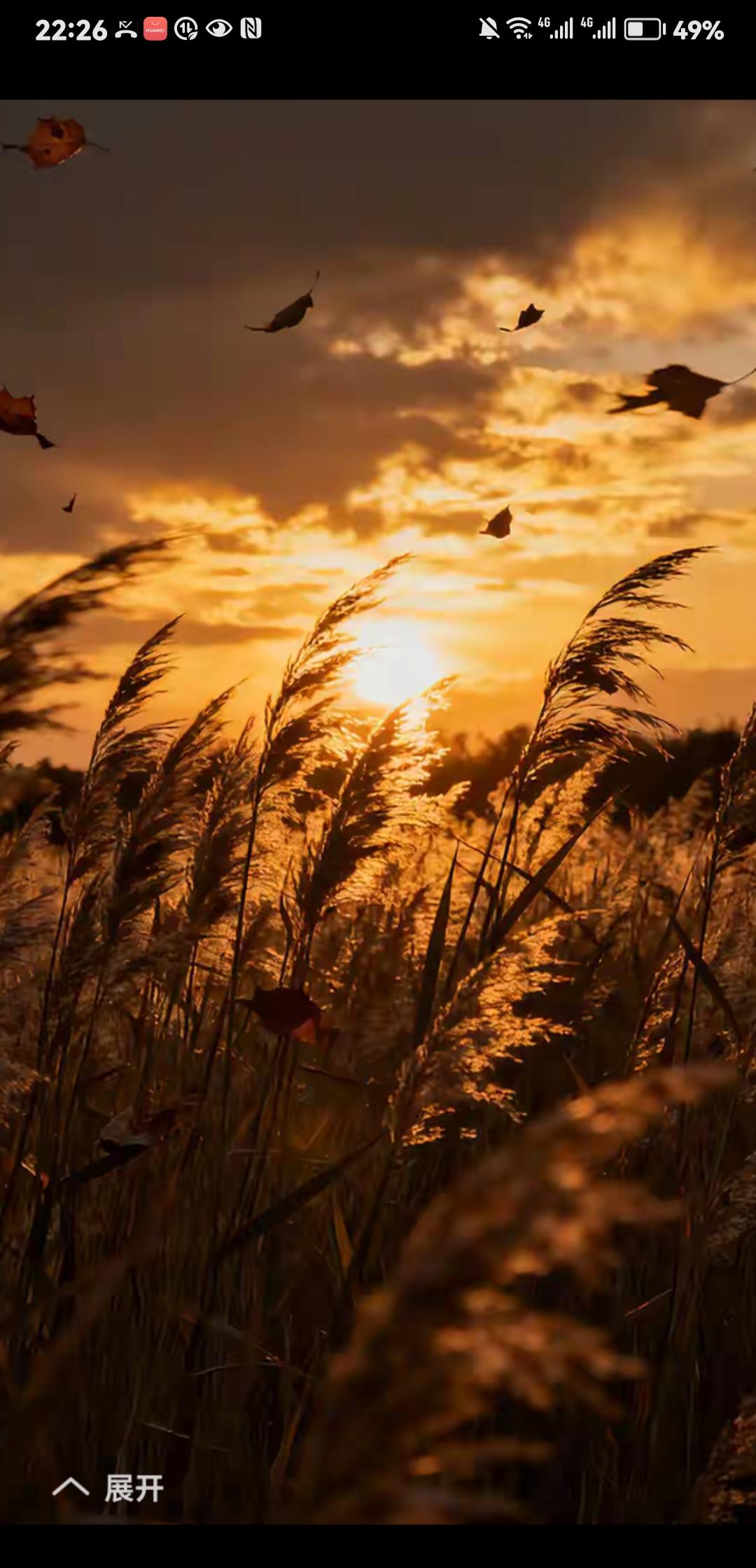 退休前的别样烦恼前几年，无论在上班还是休班期间，碰见熟人或是刚认识的生人，总被