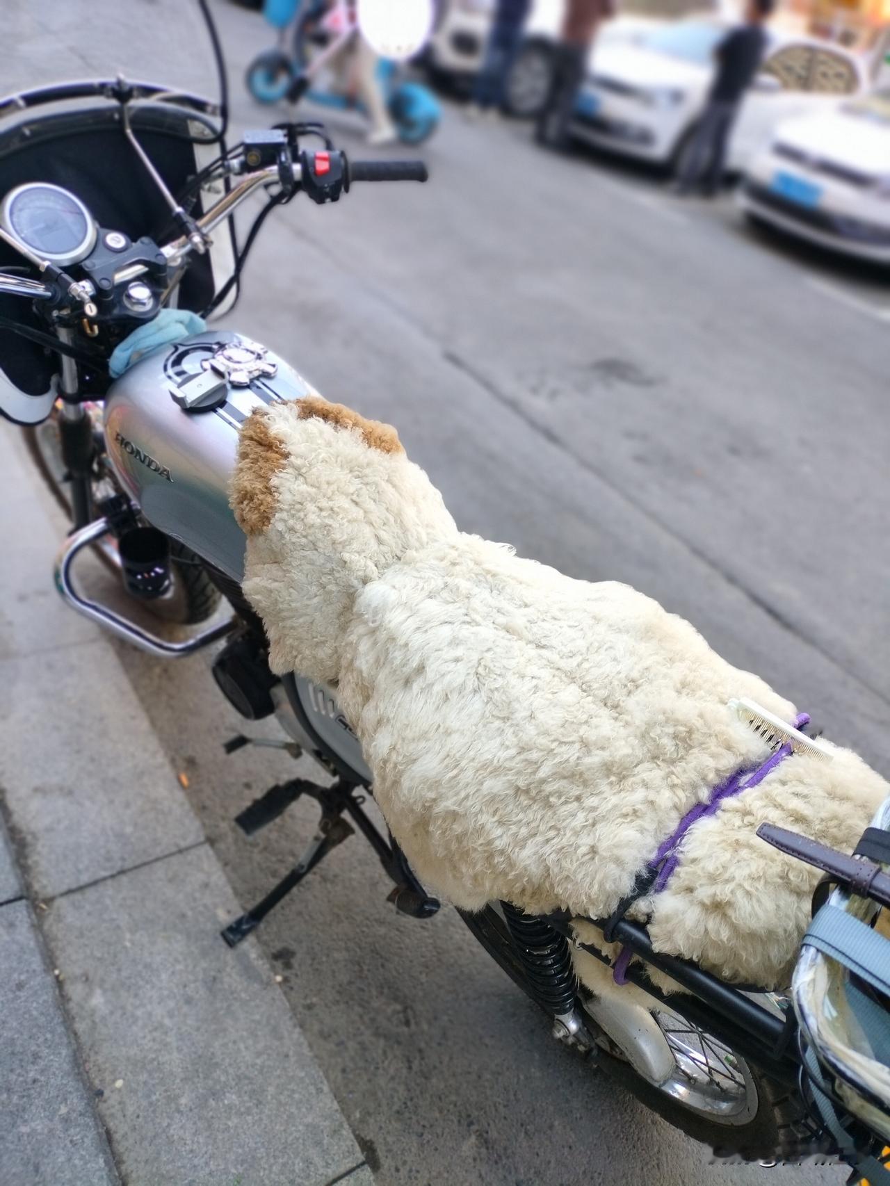 我以前给车座椅垫子上放了一整张狼皮，坐了三年都磨秃噜毛了。看这辆摩托车是牧民进城