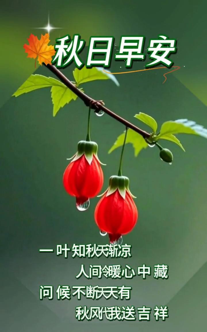 秋日早安。一叶知秋天渐凉，人间冷暖心中藏。问候不断天天有，秋风代我送吉祥。吉祥