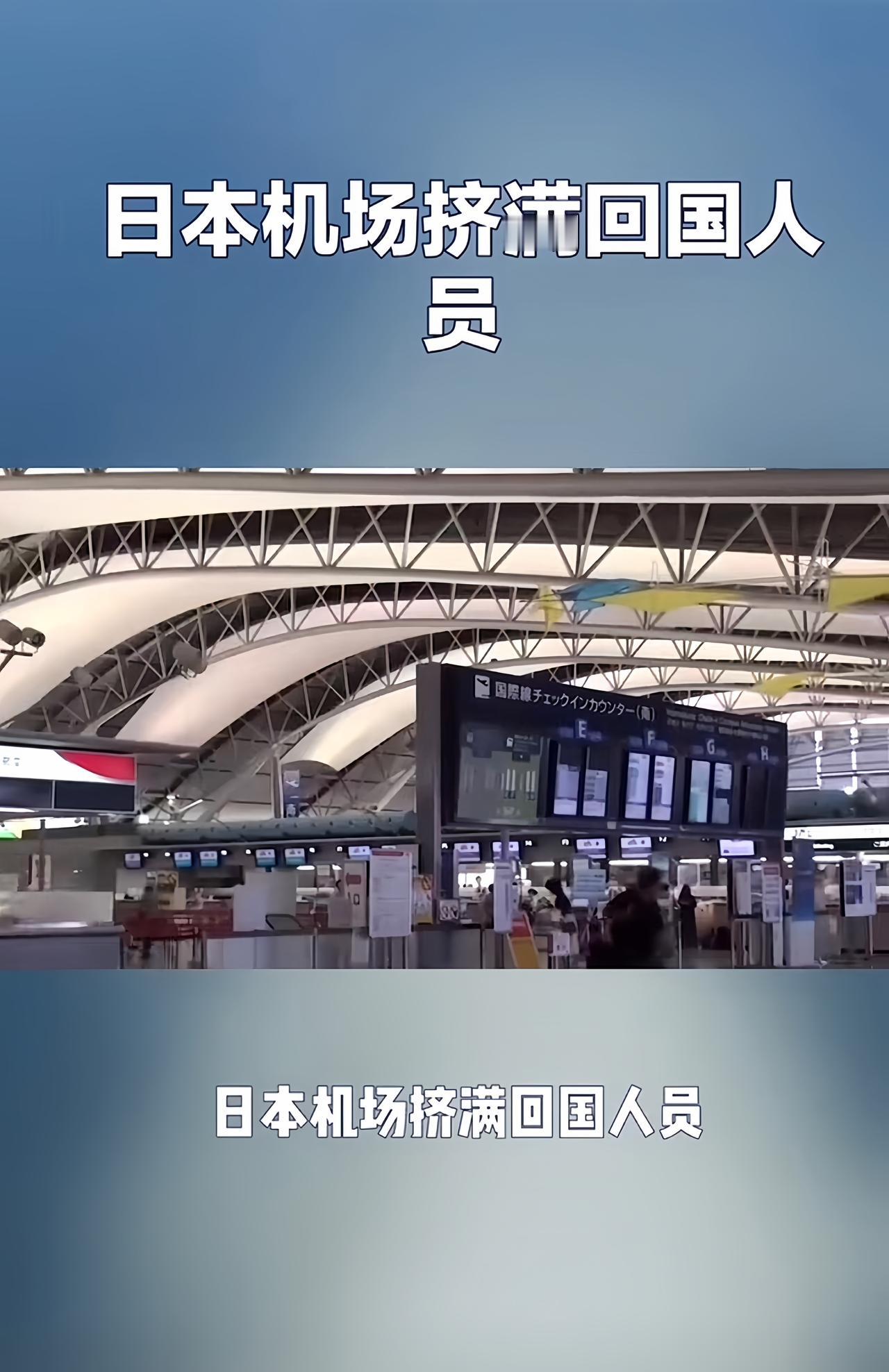 最近刷到日本机场的视频，直接看呆了！成田、羽田机场里全是拎着大包小包的中国人