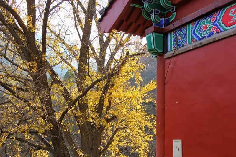 人真能看破红尘、放下一切吗？我觉得挺难，但也不是没可能。大多数人痛苦源于执念和