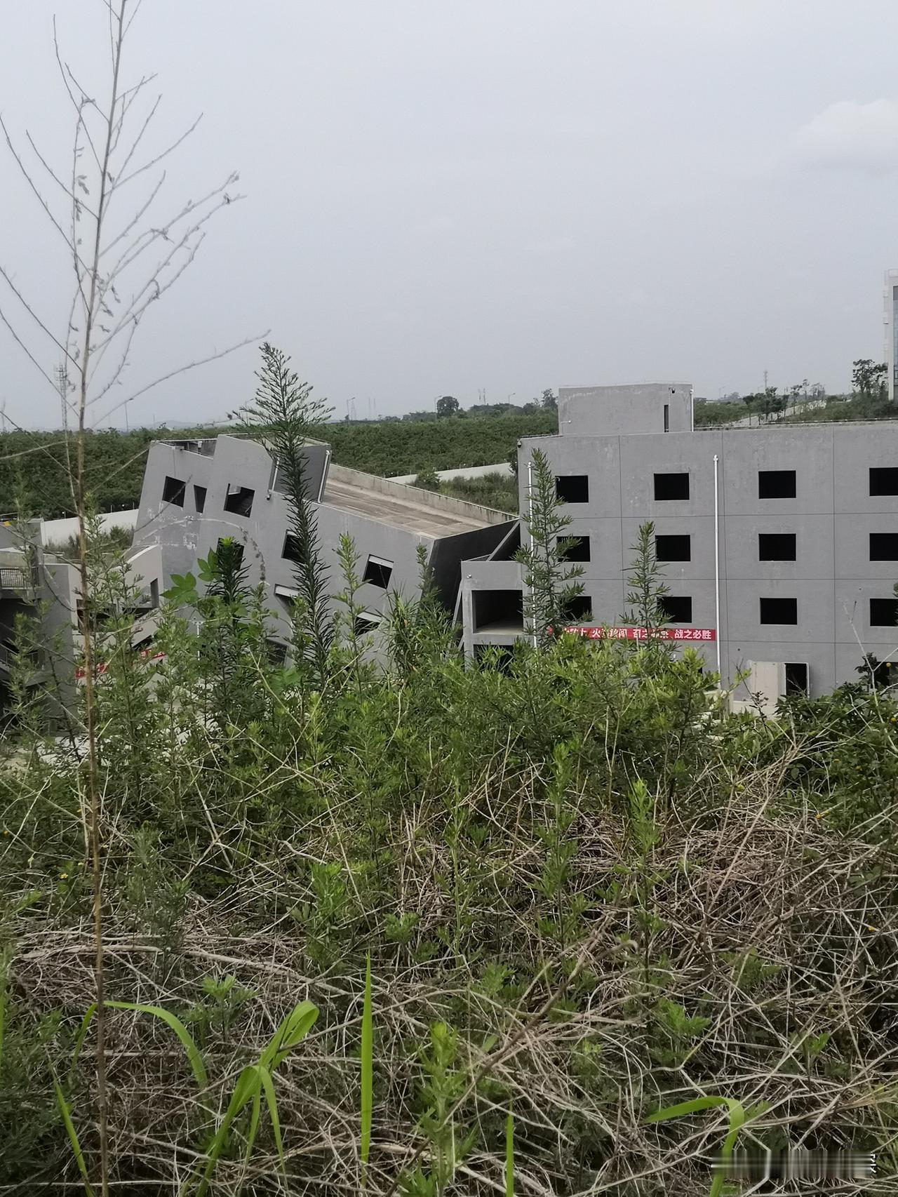 今儿在金堂大道淮口路段，还真让我开了眼，看到那种建筑风格的房子，我真是头一回见！