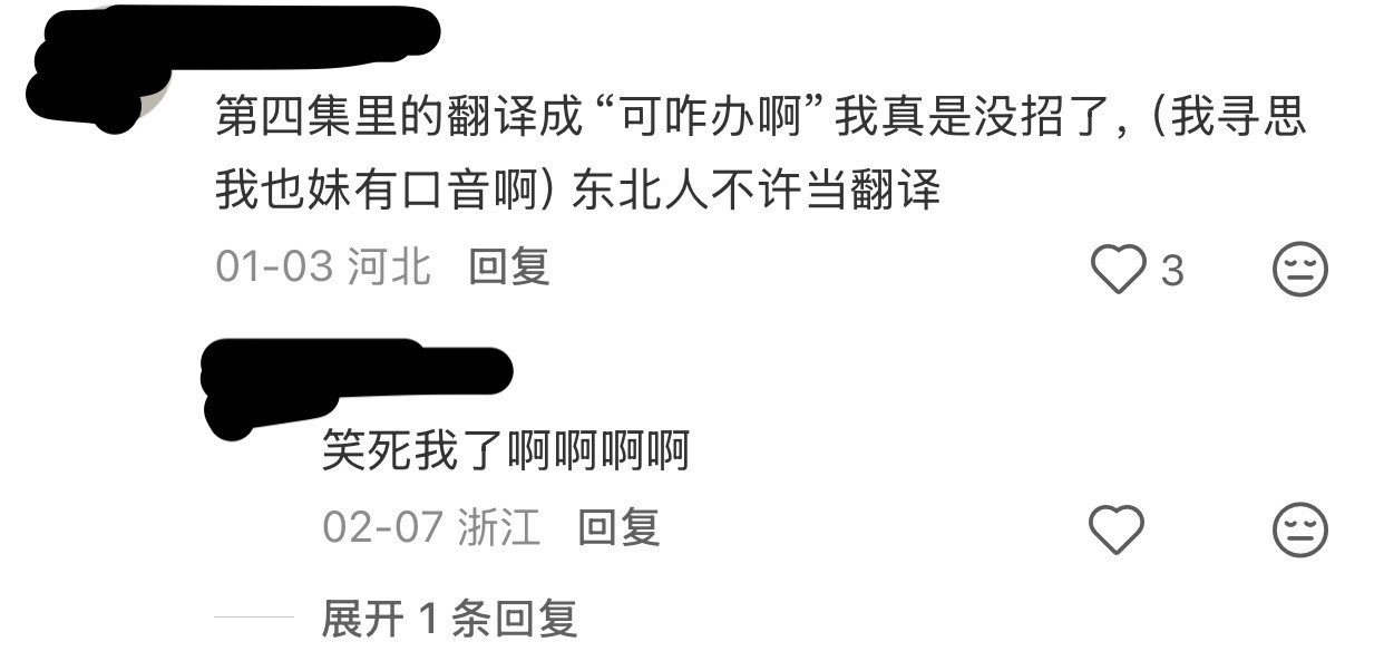 谁懂看到这四个字的救赎感你害怕不东北人不许当翻译！！