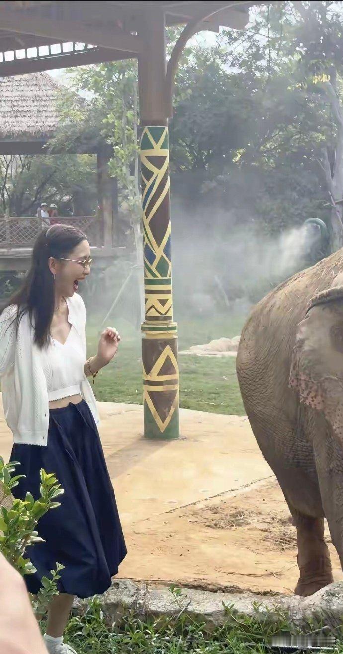 佟丽娅被大象鼻子吓了一跳，发出尖叫太可爱了，吓成这样脸都不崩，真的好美