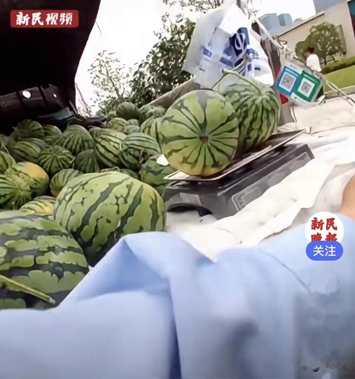 近日，上海普陀街头一名河南瓜农开着外地货车，拉着自家地里的西瓜来上海售卖，不熟悉