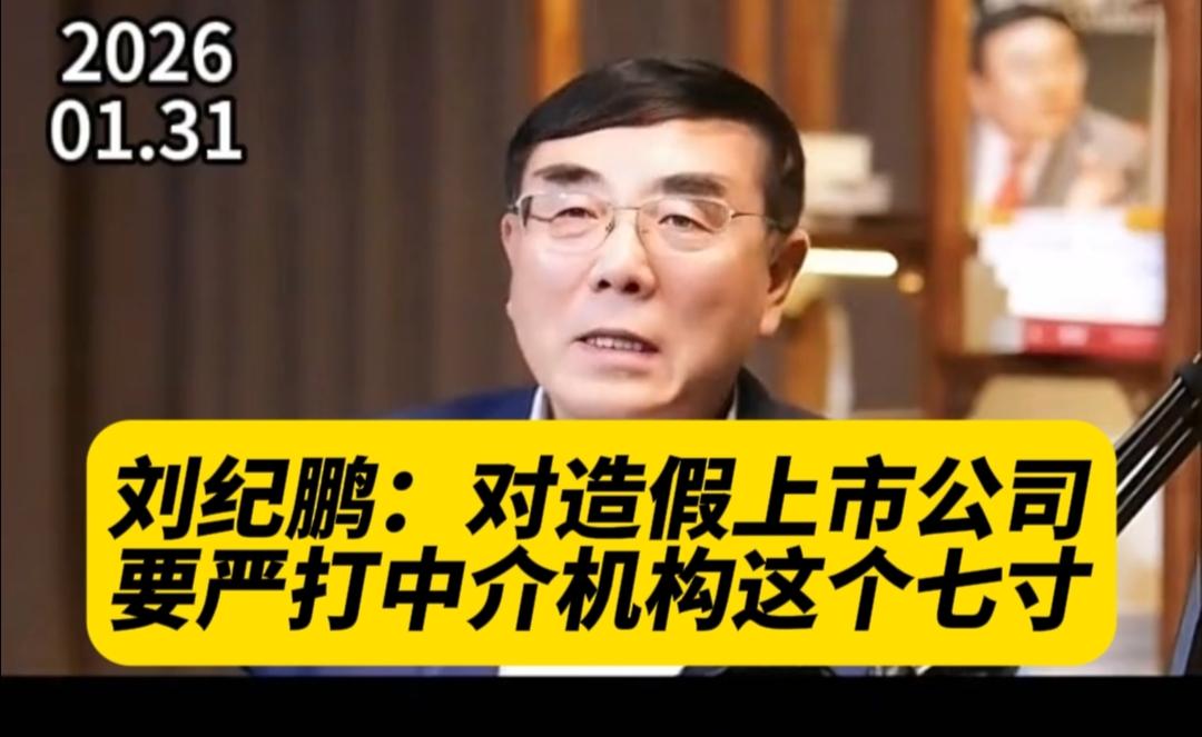刘纪鹏：严打中介机构直击造假上市公司七寸