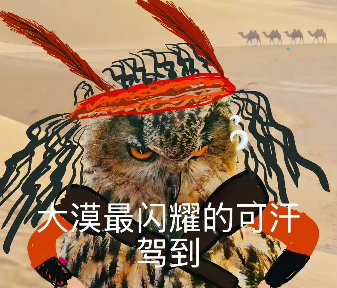 此沙邪恶猫头鹰那个眼神真的绝，此沙把邪恶又迷人的气质演绎得淋漓尽致，像是黑夜