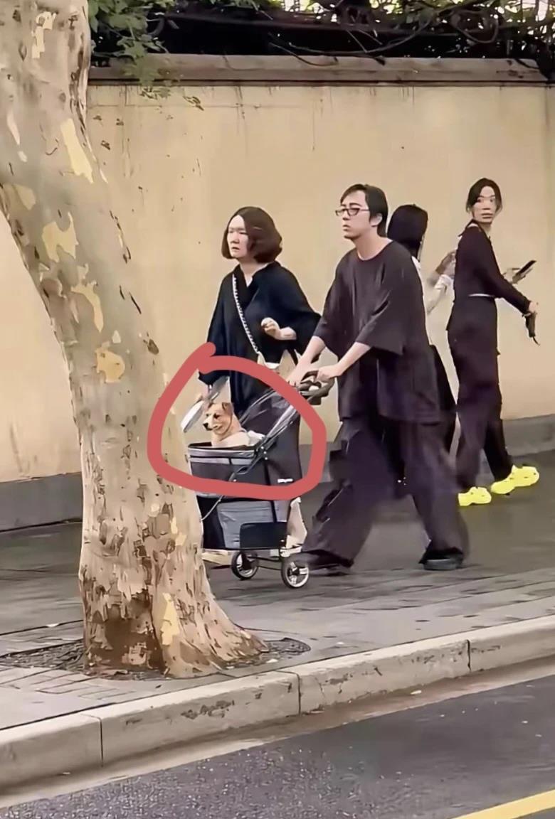 只有养过狗的人才懂，这种呵护是真心的！