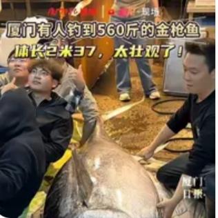 “亏不亏？”3月17日，福建厦门，一男子带着两名船员，摸着黑出海，竟钓到了560