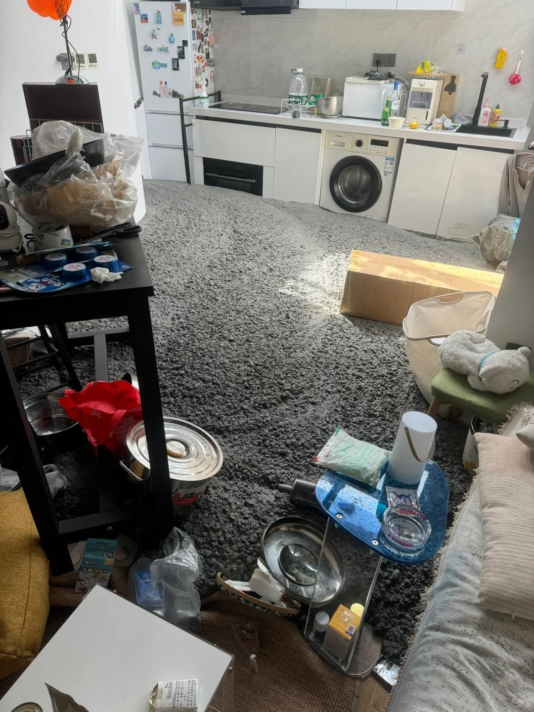 我真不想，邻居大爷非要给我家铺混凝土地毯一觉醒来，彻底崩溃了热情的邻居大爷在