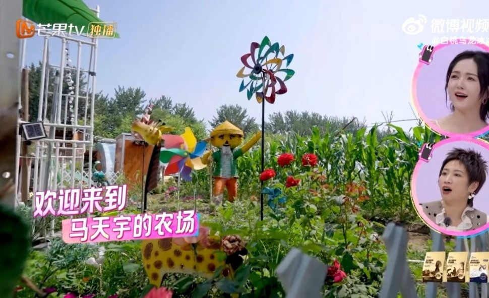娱乐马天宇有自己的农场马天宇竟然还有自己的农场马天宇过上了我想过的日子，
