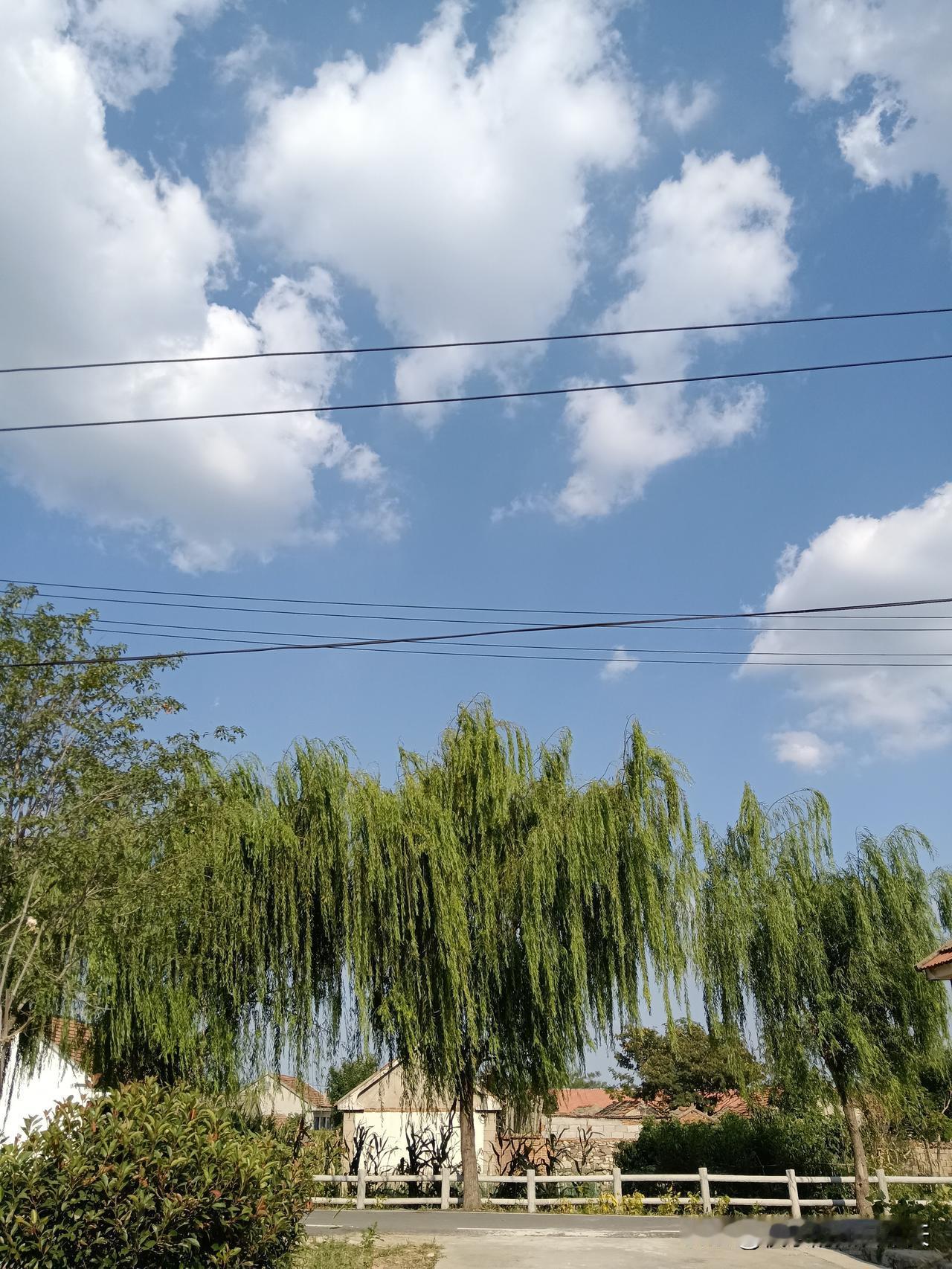 亚运会男团失冠，谁难辞其咎？1，王楚钦。按照国乒以往的表现，作为男队队长，做