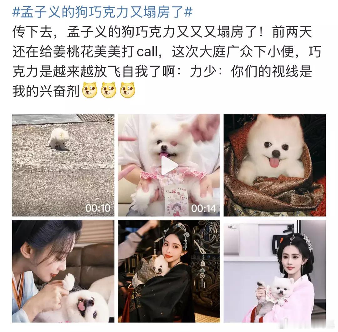 孟子义不考虑换一个营销公司嘛？一天天的都是什么尴尬的词条啊[捂脸哭][捂脸哭][允