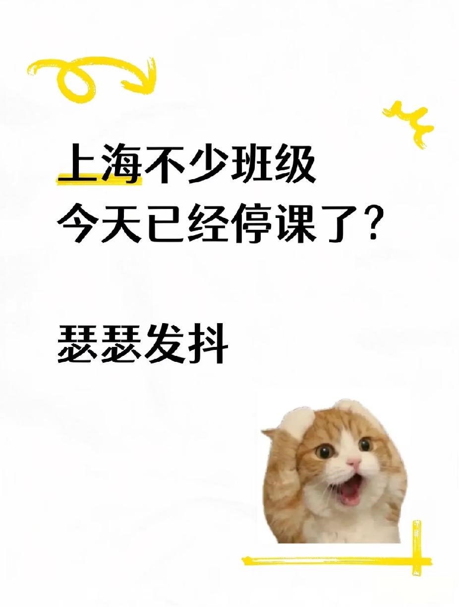 我在上海当幼师的姐姐告诉我，今年的咳嗽有些奇怪，班级有两个孩子咳嗽，整个班都