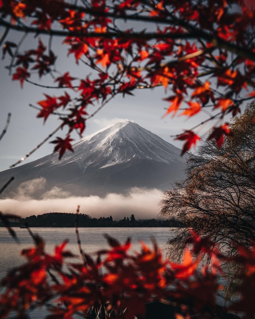 𝘚𝘩𝘢𝘳𝘦手机壁纸｜竖屏壁纸｜风景壁纸｜橙色壁纸｜高