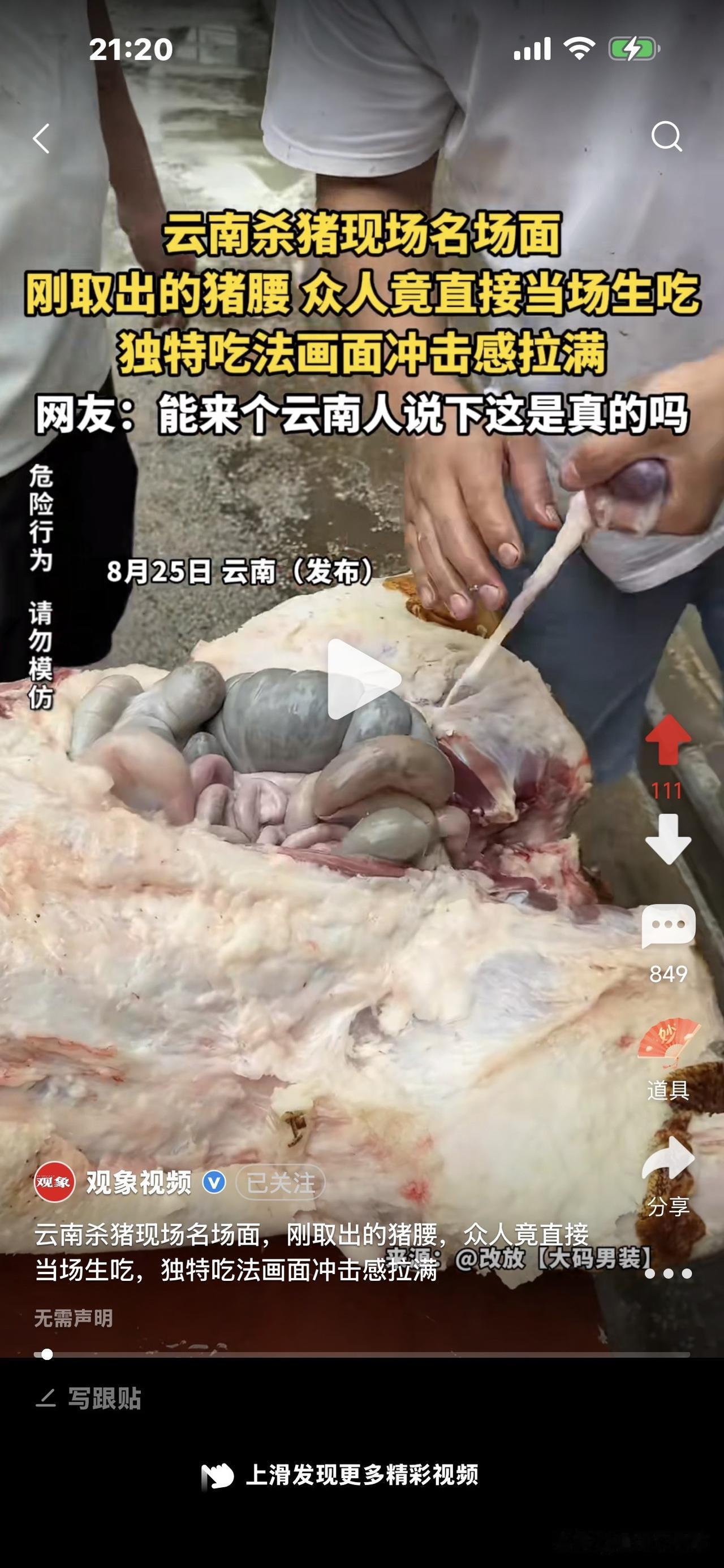 吓人，云南杀猪现场，刚取出的猪腰子，小伙子们直接剥开包膜生吃，看得我心里不适