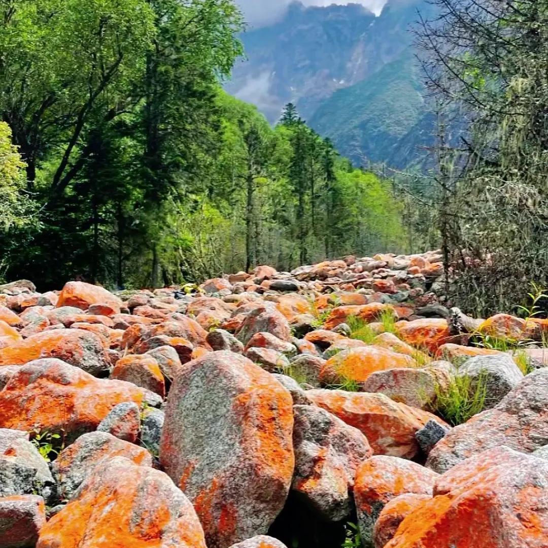 小心！商贩上门收黄金79克秒变55克。11月29日上海，一男子喊商贩上门回收黄