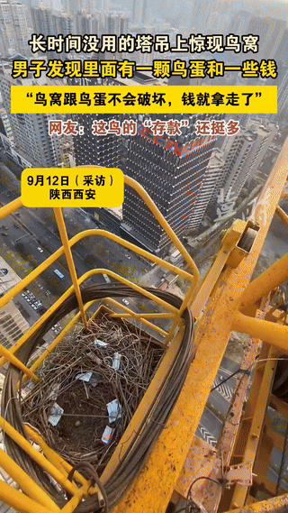 “解释不清了！”陕西西安，一塔吊司机发现自己长时间没用的塔吊上发现了一鸟窝，更神