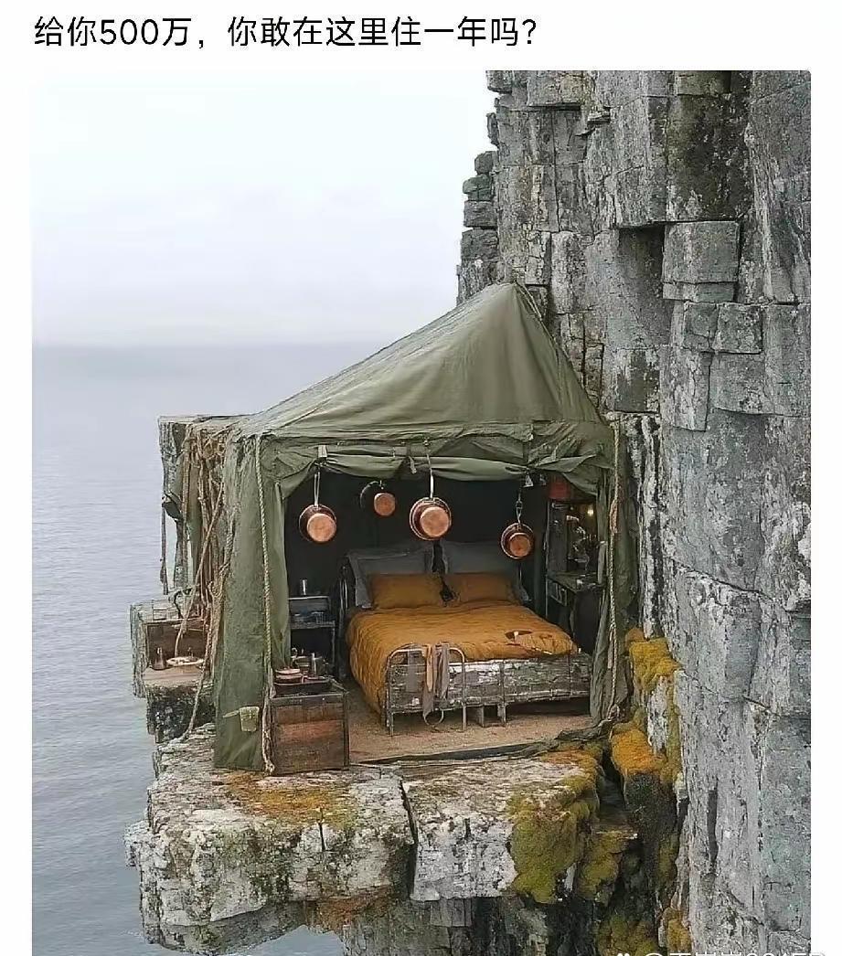 市场上就是被这种人给搅乱的！