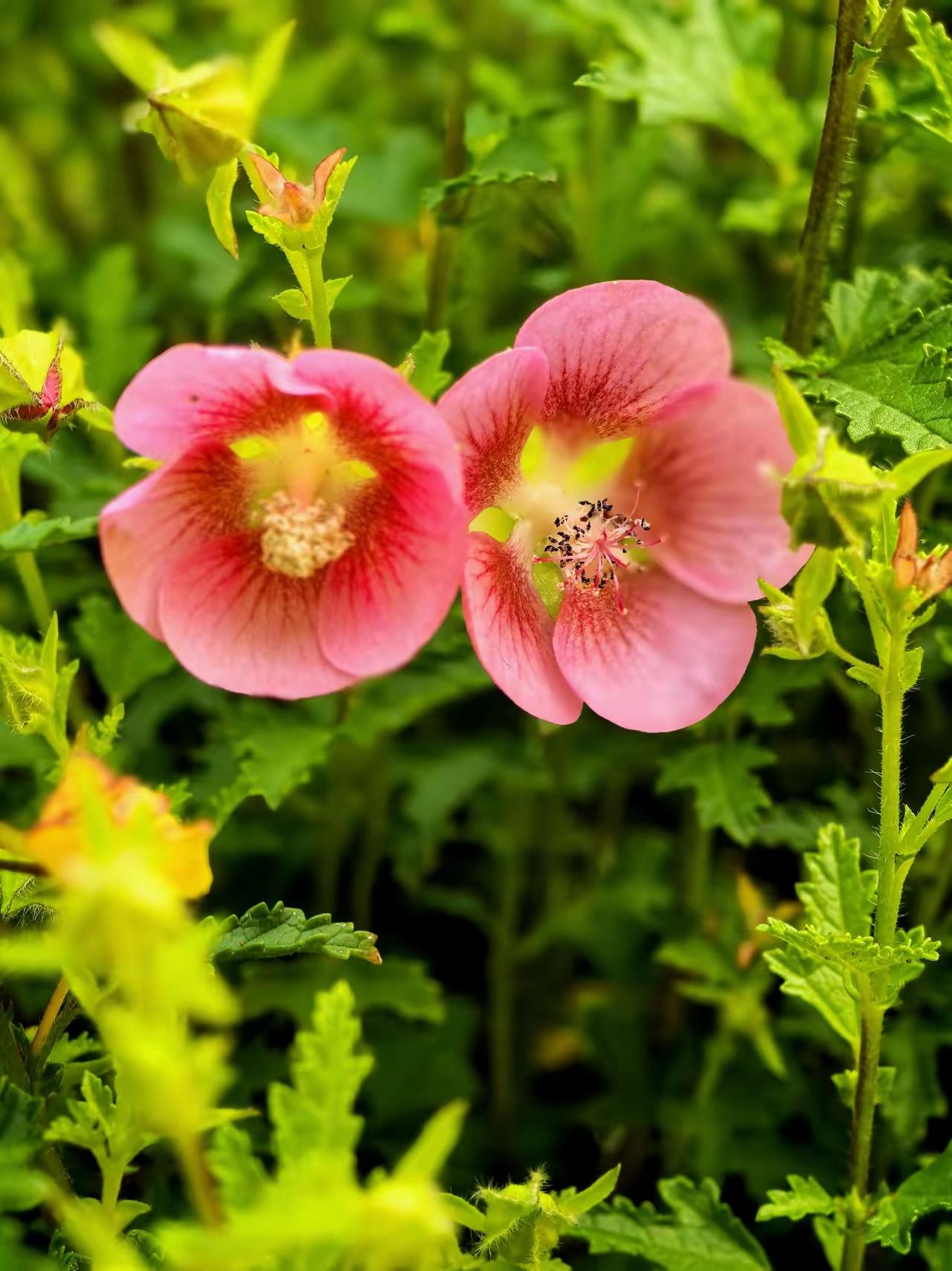 我们都在人前假装坚强，假装快乐，假装什么都无所谓。笑着应付生活，淡定面对一切，