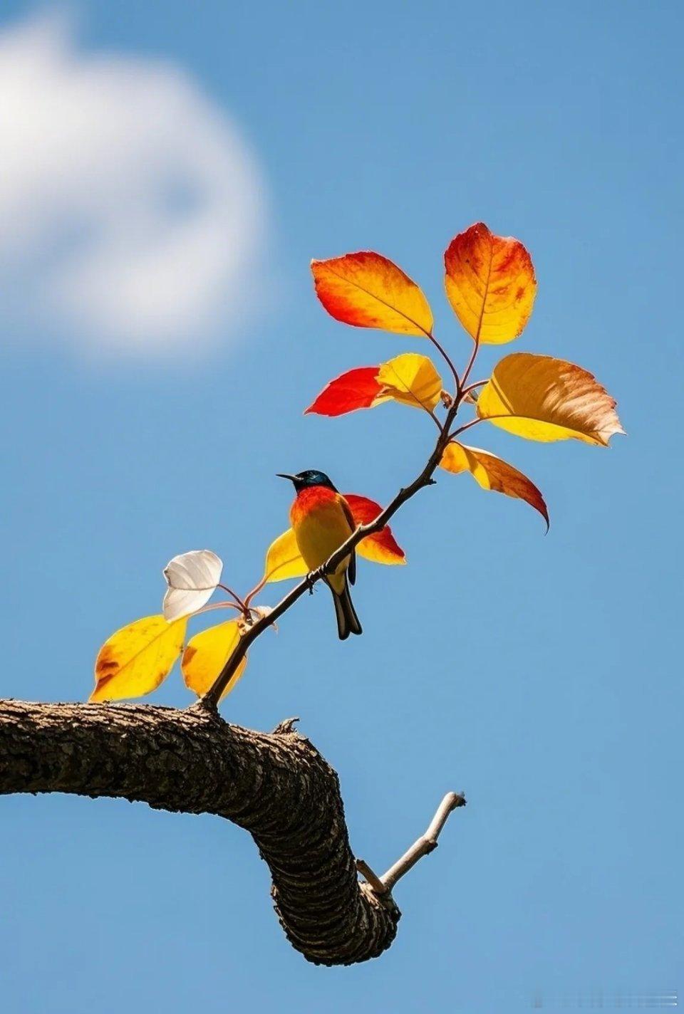 耐心等待一场下跌炒股十多年我才算彻底悟透了，想在股市里真真正正赚到钱，