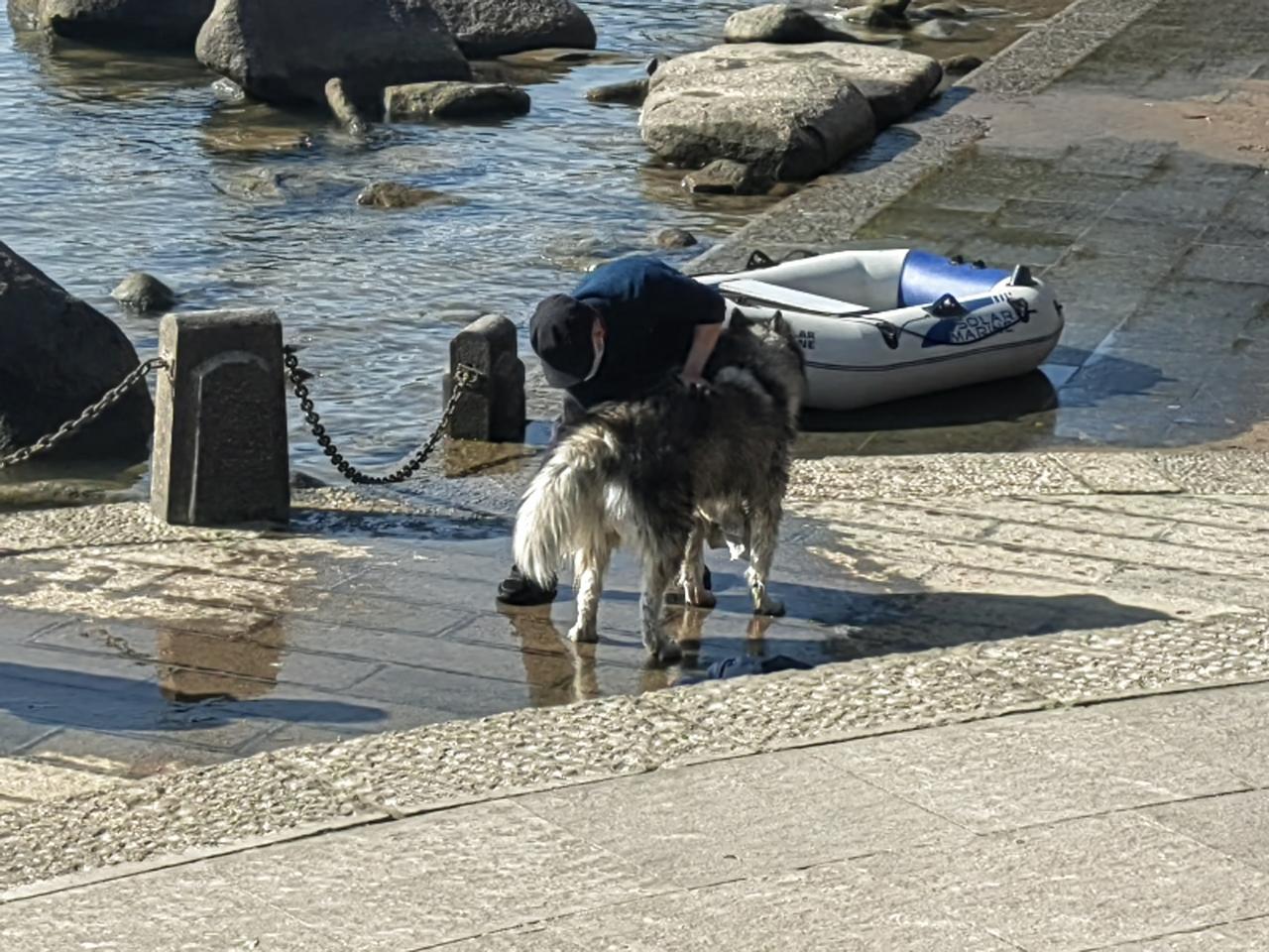 给狗狗洗个澡——富春江边碰巧。