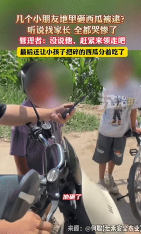 “笑麻了！”浙江，几个小孩哥瓜田砸西瓜被逮到，一听瓜主要叫家长吓得嗷嗷哭！不料，
