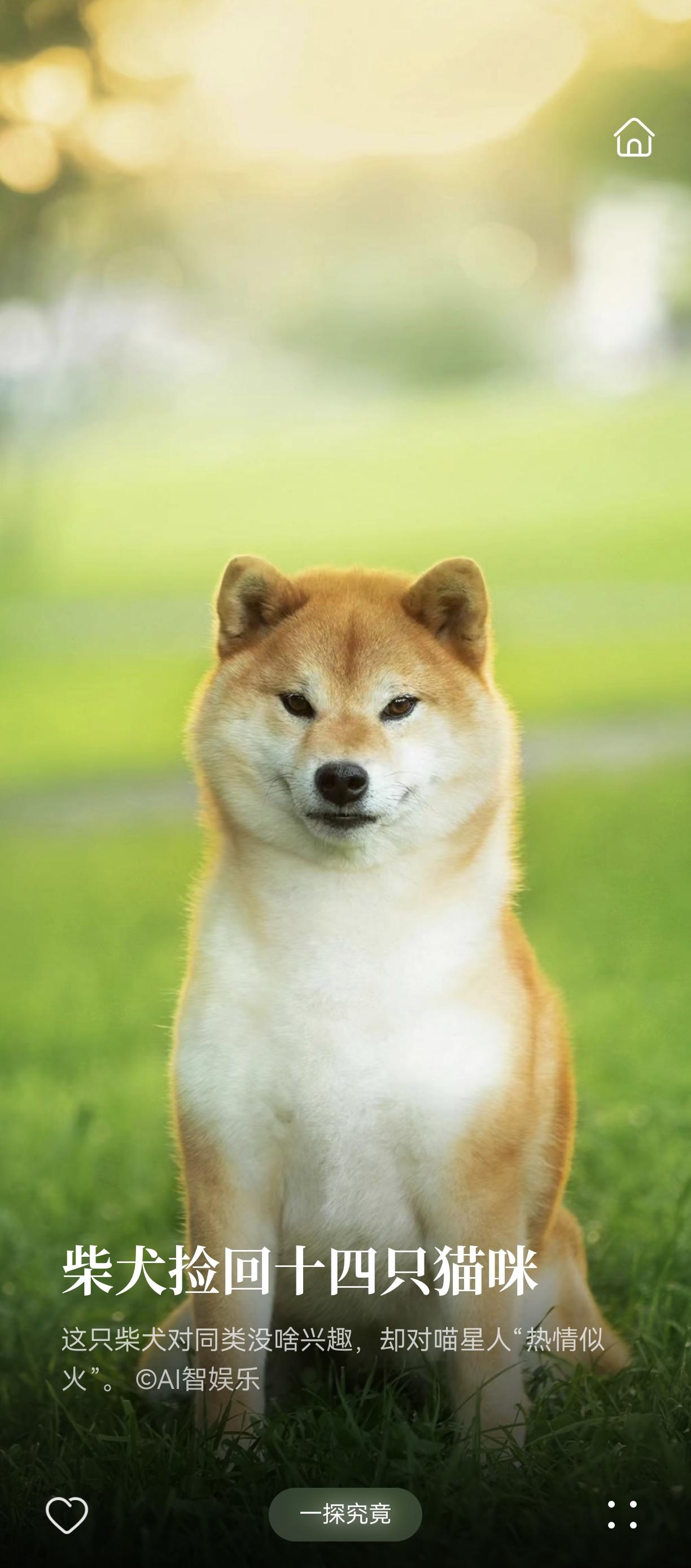 没有彩礼不能结婚。没有房子不能结婚。没有车子不结婚。没有一个像样的工作难结