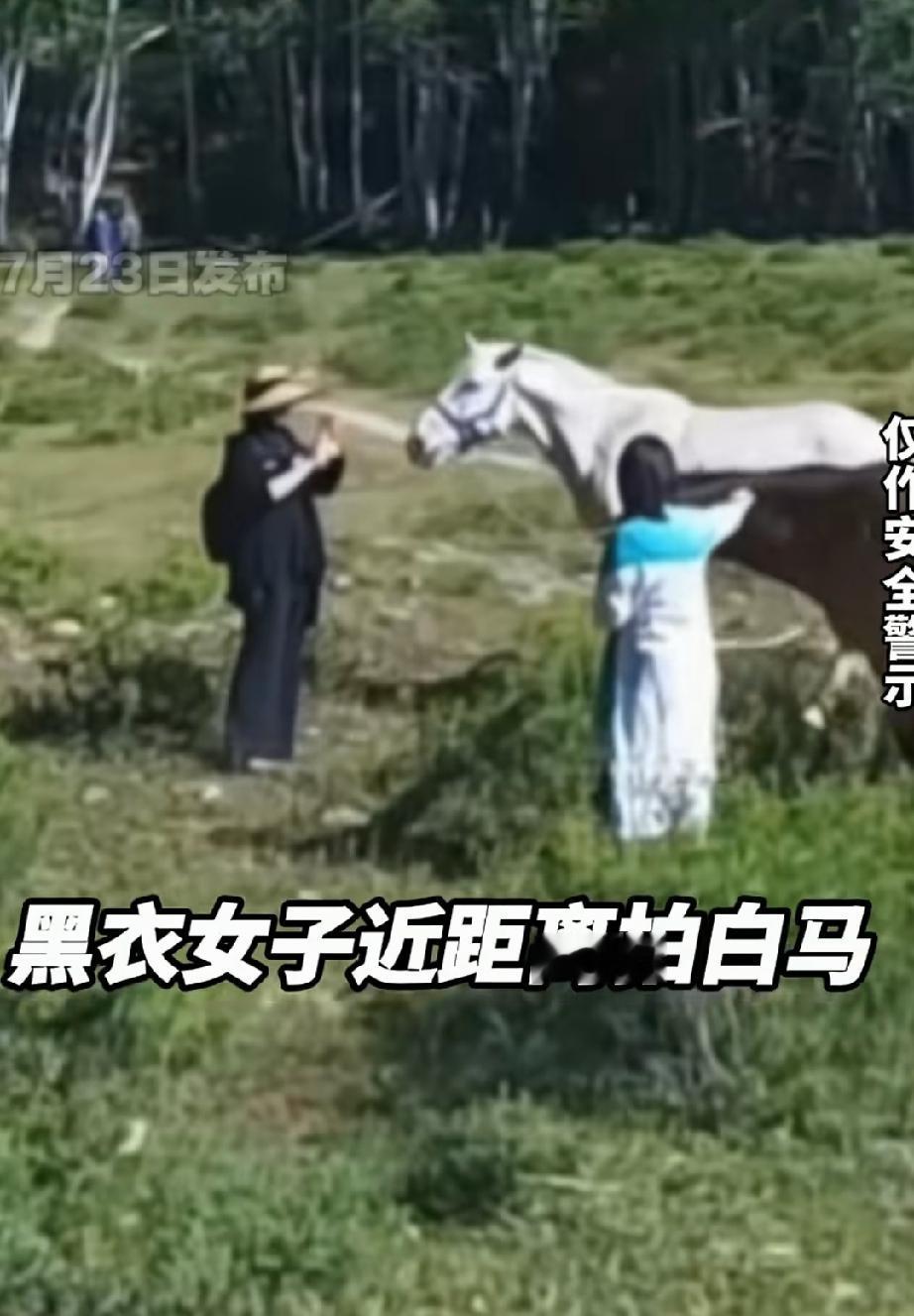 7月23日，新疆阿勒泰。一穿黑衣服的女游客在马场游玩，看见一匹白马被绑住了后腿。