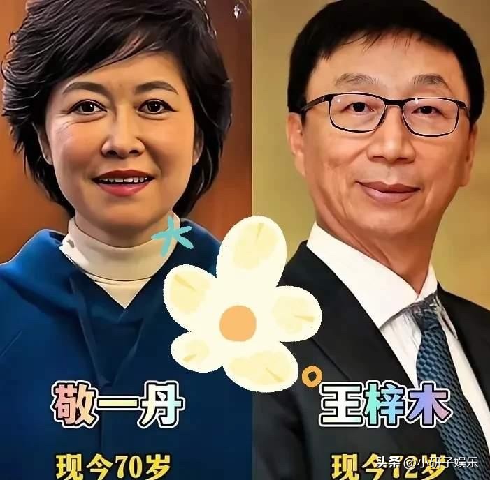 这三对夫妻的合影，真的感觉“夫妻相”这件事，在央视主持人身上体现得特别明显。他们站在一起，不仅仅是五