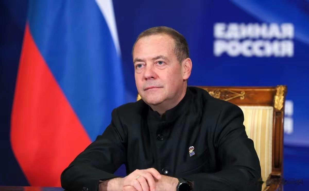 梅德韦杰夫骂得是真难听。“女恶棍”这种词都用上了。他说的两个人，一个莫盖里尼，一